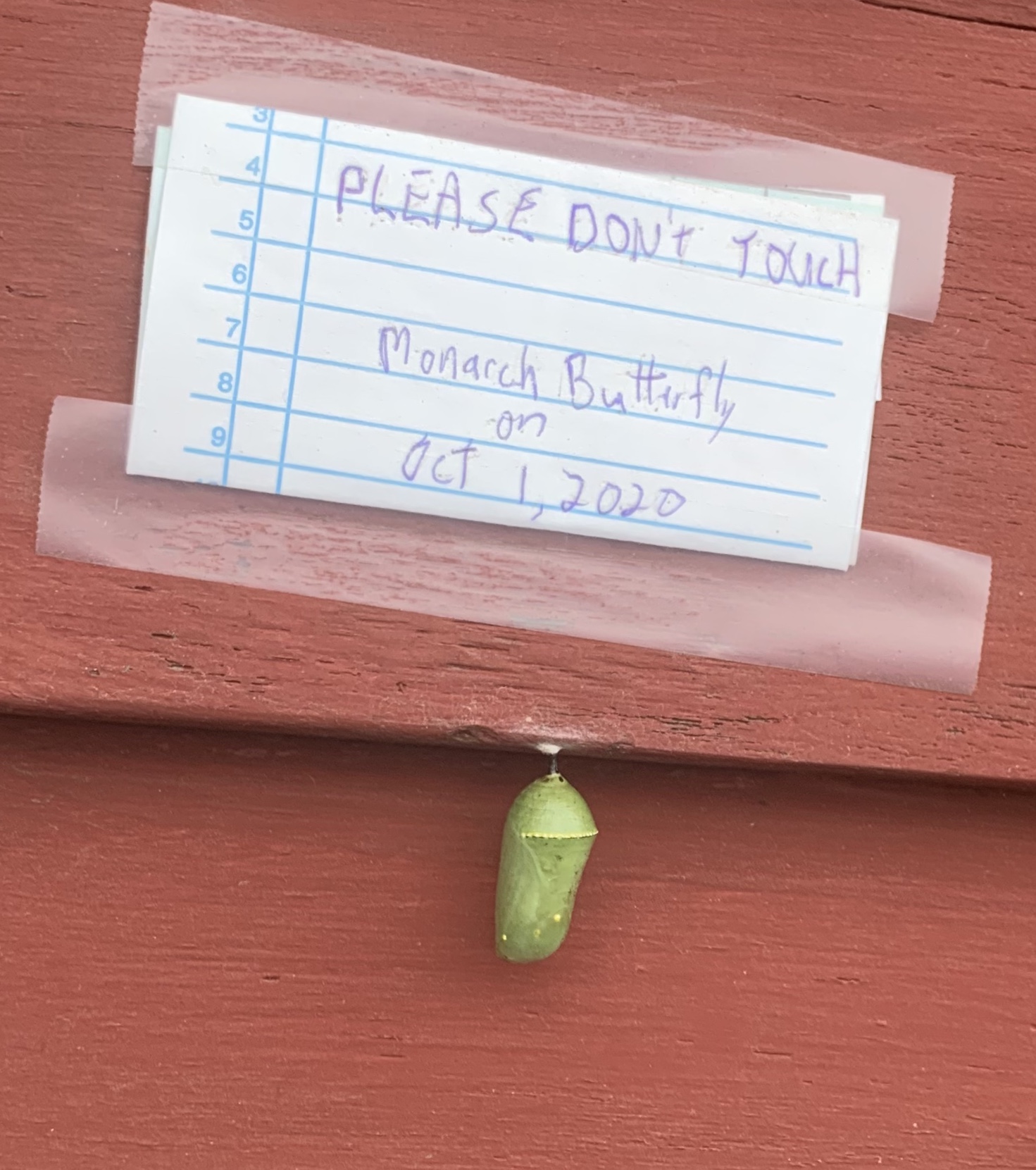 The Place Restaurant