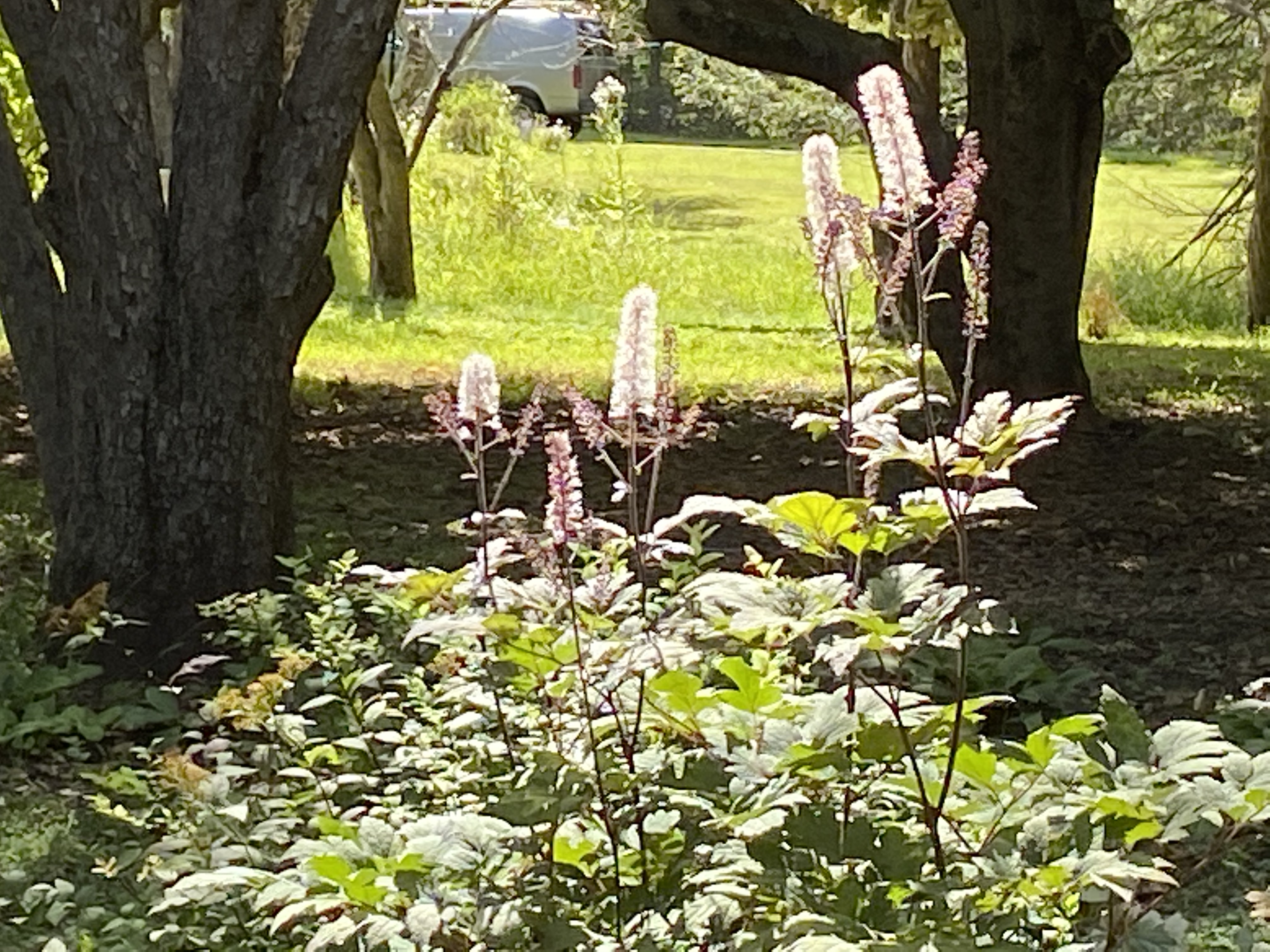 362 Chestnut Hill Rd