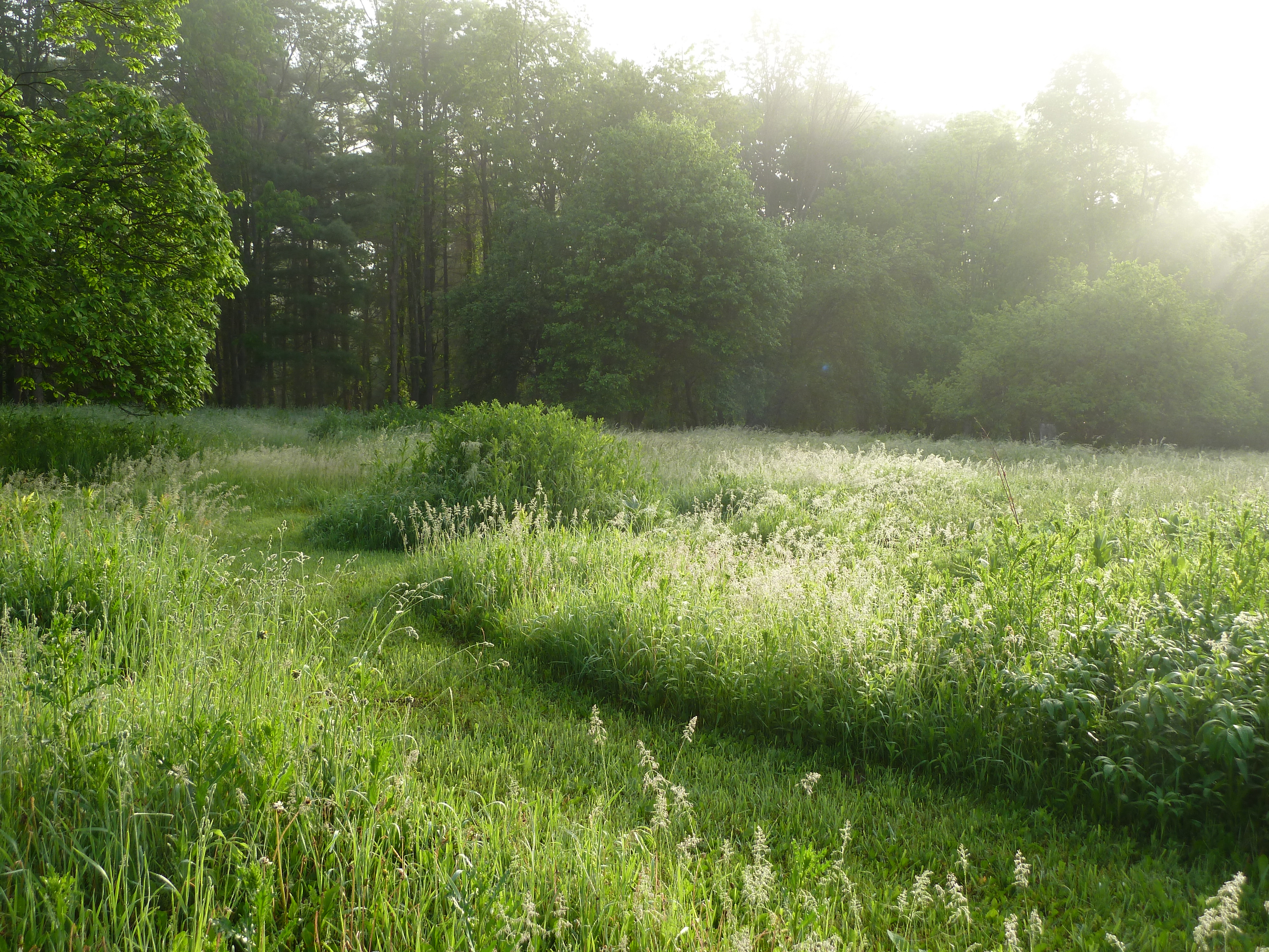 110 Christian Hill Road