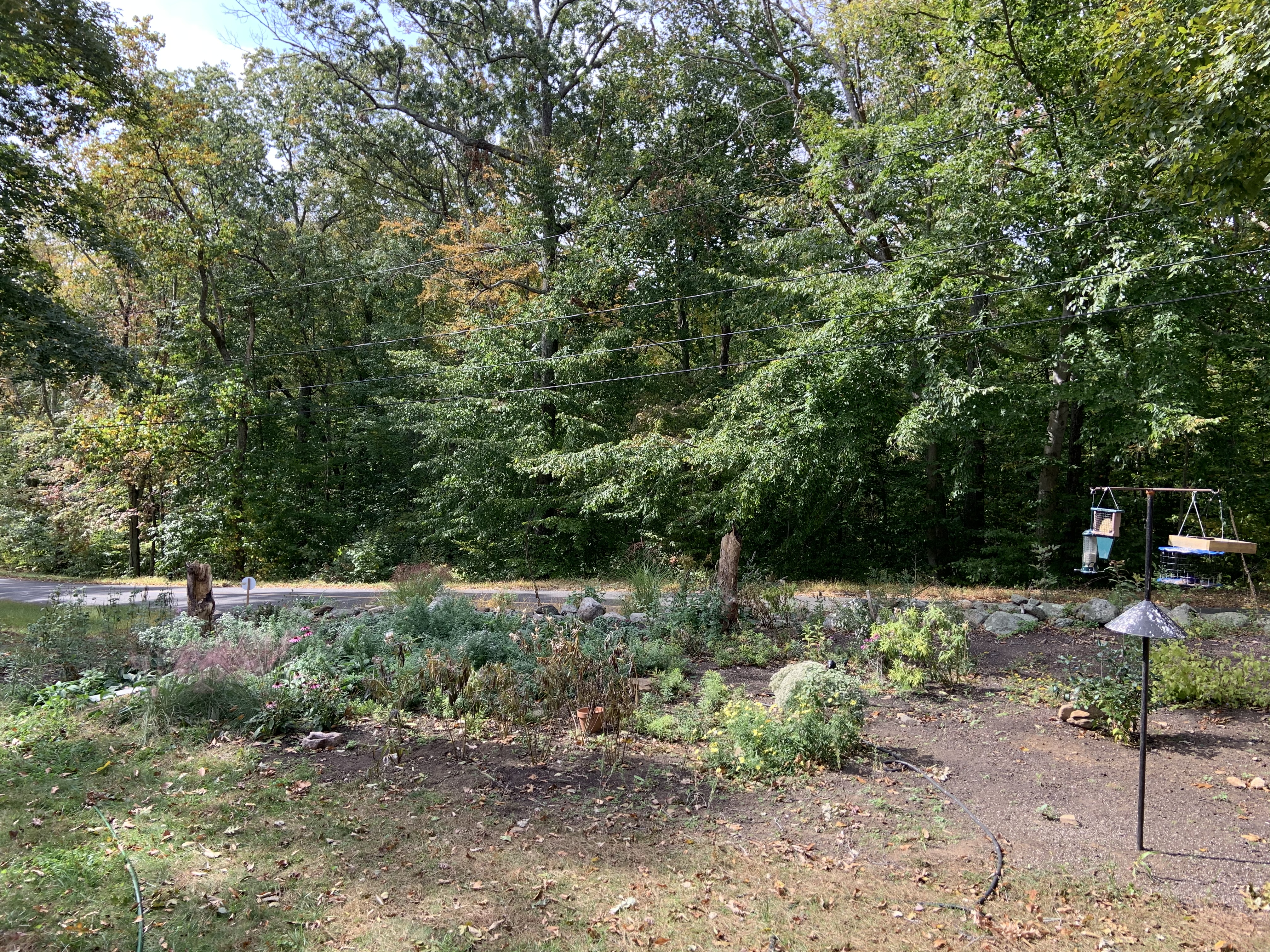 701,Maple Hill Street