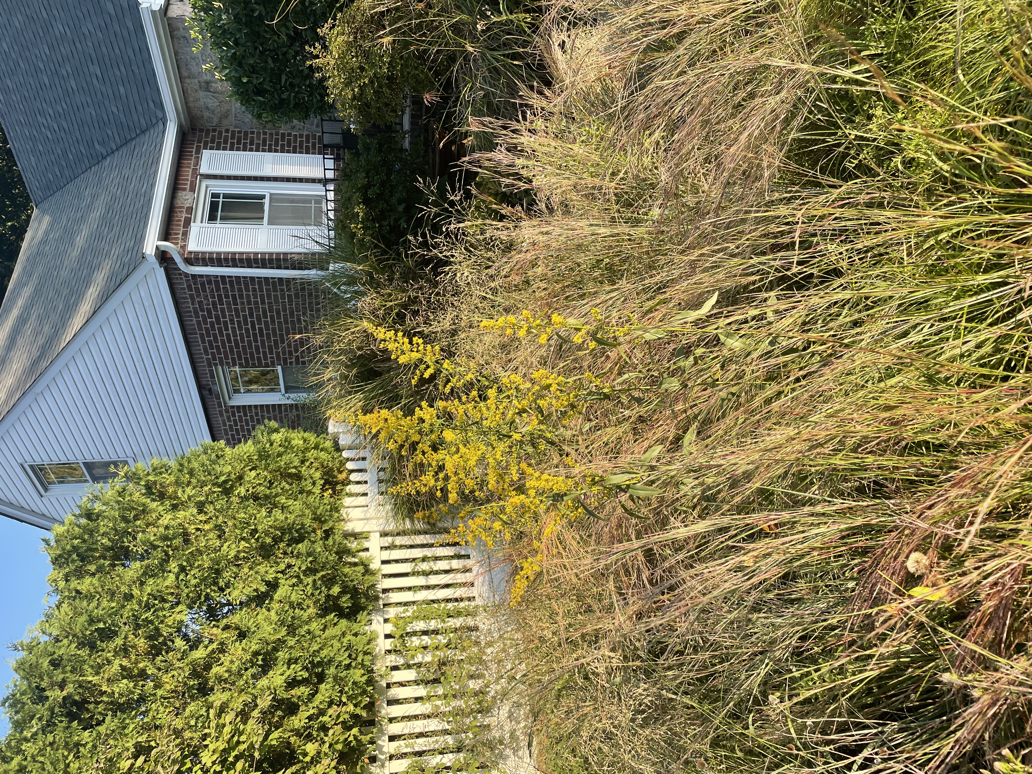 196 Schenck Boulevard