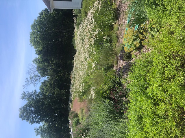 101 Prospect Hill Road